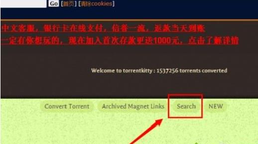 ��X���_torrentkitty�ķ���