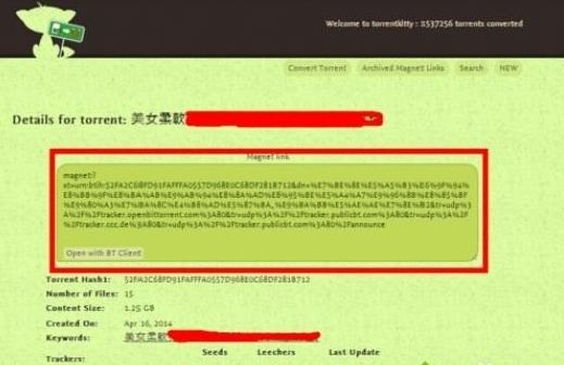 ��X���_torrentkitty�ķ���