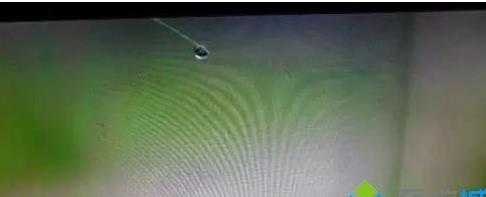 ��X�@ʾ�����滨��һֱ���ӵ���N�ޏͷ���