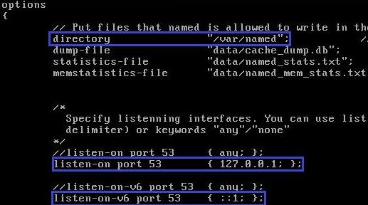 Linux��CentOS�����bDNS������