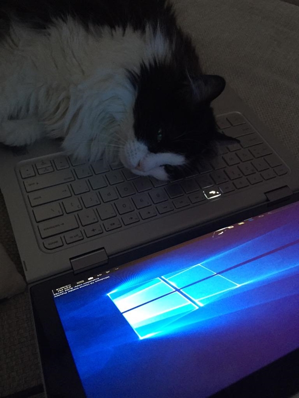 �����f��Windows 10����5��ʽ��