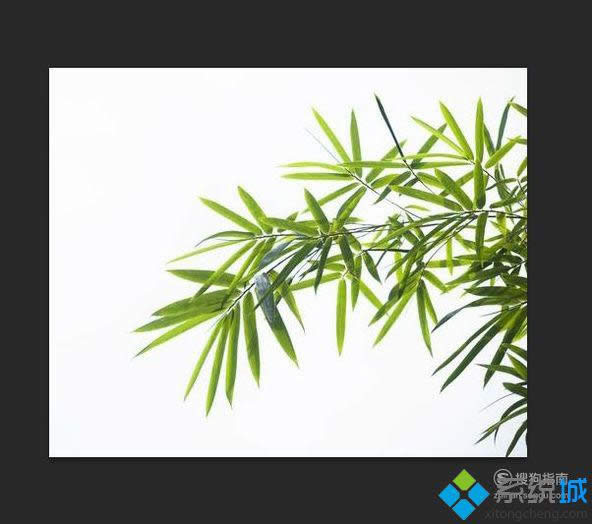 xpϵ�y(t��ng)�����ӄh���DƬ��ɫ����|xpϵ�y(t��ng)�h���DƬ��ɫ�������k��